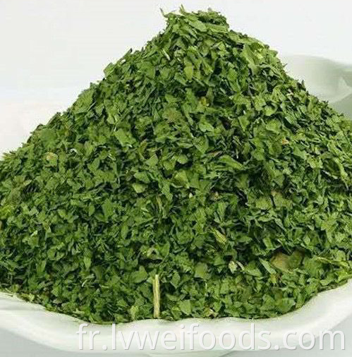 Coriandre déshydratée 3 3 mm Dehydrated Coriander 3 3mm